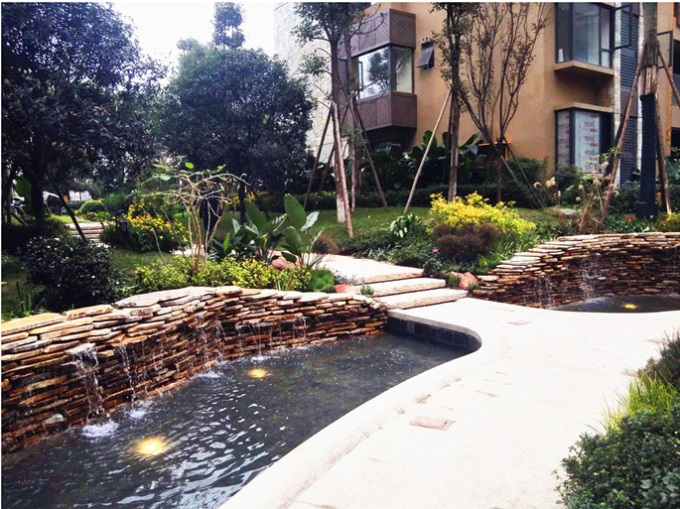 1577443037364737.jpg 5.jpg