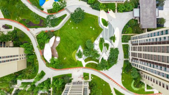 1577689954916835.jpg 11.jpg