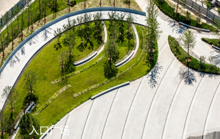 1582197002717961.jpg 1.jpg