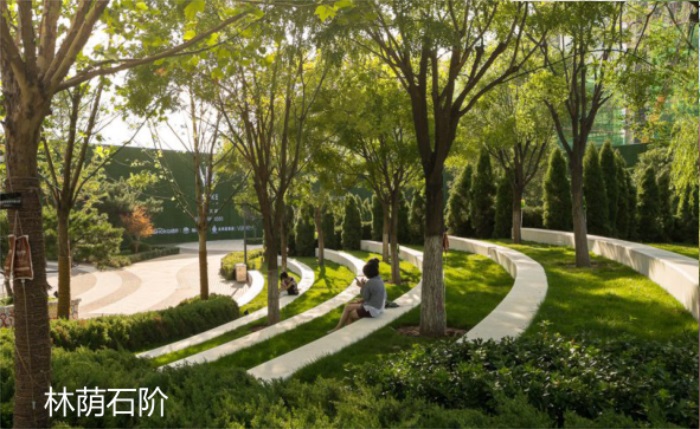 1582197011951090.jpg 2.jpg