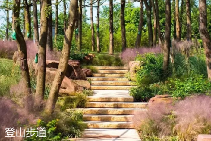 1582197021547199.jpg 3.jpg