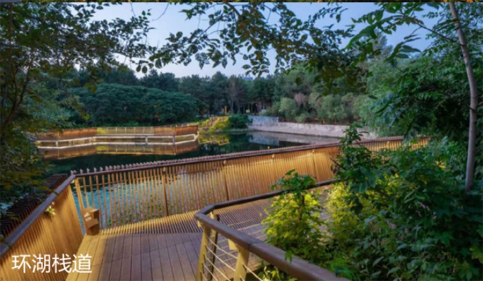 1582197106725921.jpg 11.jpg