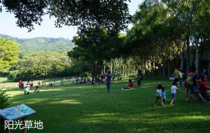 1582197113529800.jpg 12.jpg