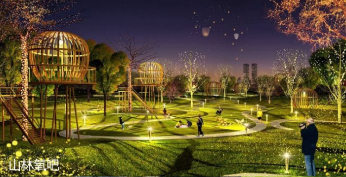 1582197123626596.jpg 13.jpg