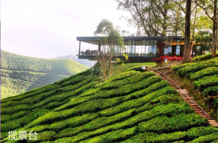 1582197163920220.jpg 17.jpg