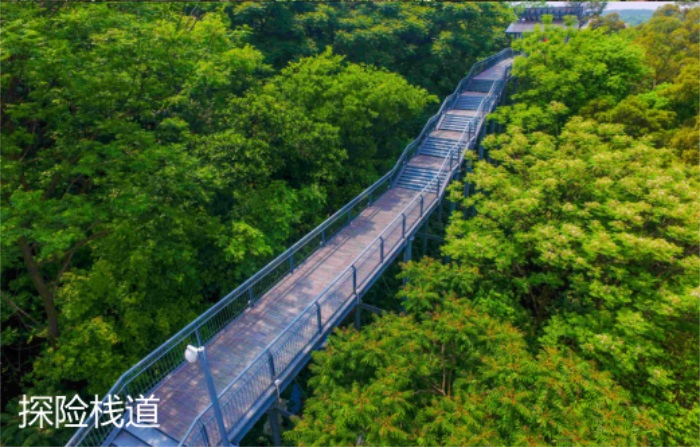 1582197183827610.jpg 19.jpg