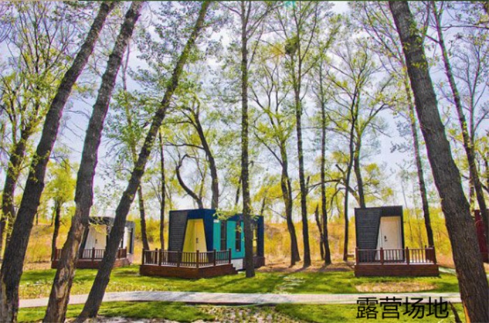 1582197221427142.jpg 23.jpg