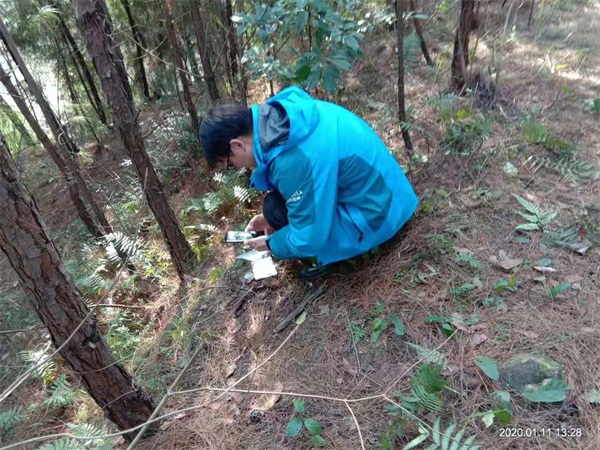 1582596623301478.jpg 2.jpg