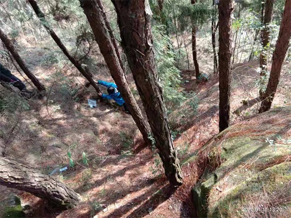 1582596633155315.jpg 3.jpg