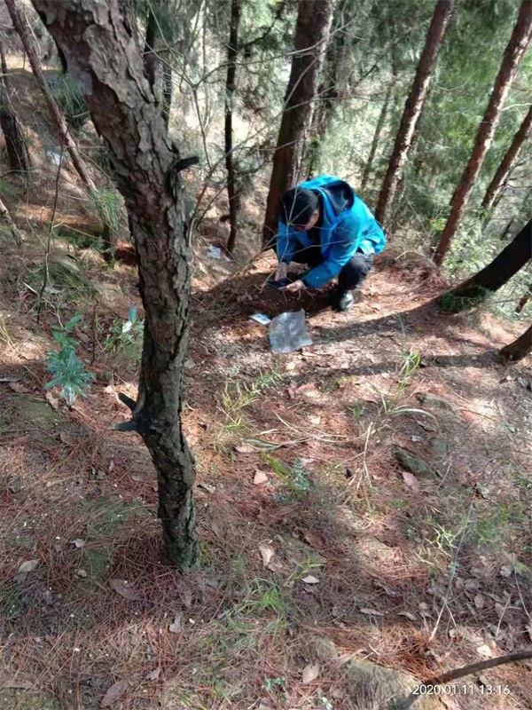 1582596642527983.jpg 4.jpg