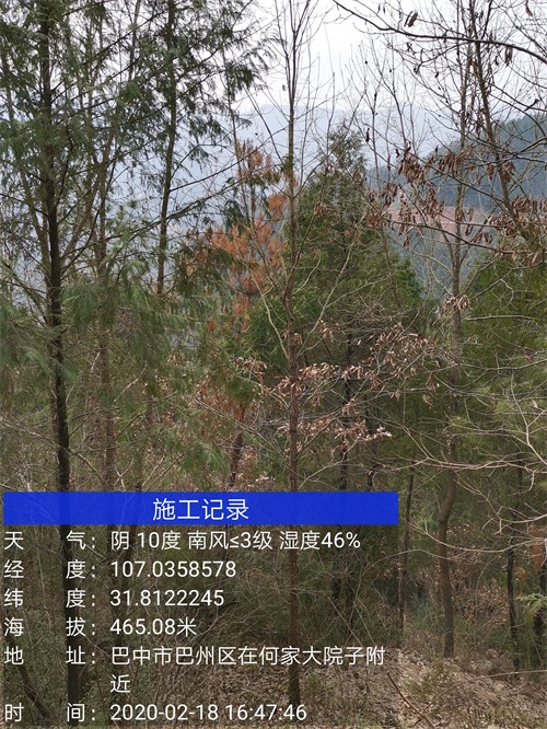 1582596691974700.jpg 9.jpg