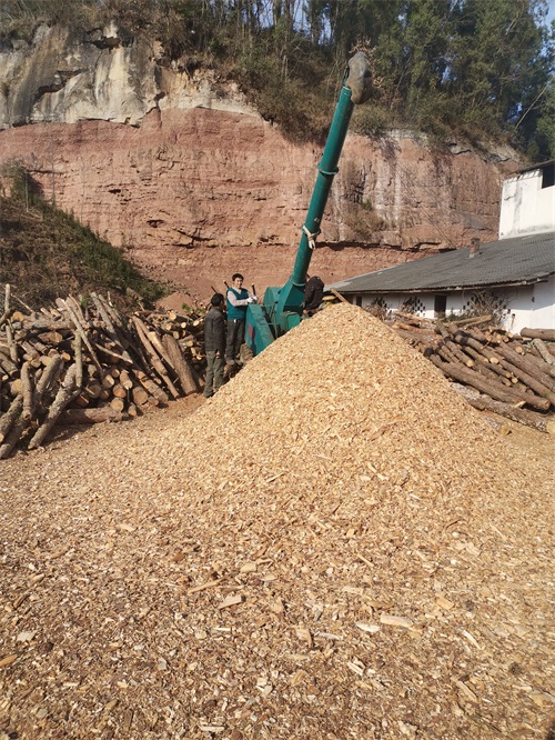 1582596700775632.jpg 10.jpg