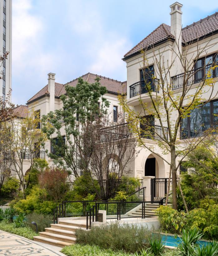 1582704804219492.jpg 7.jpg