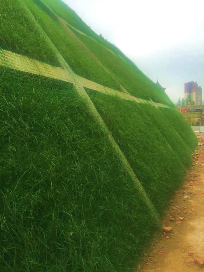 1582774303523614.jpg 3.jpg