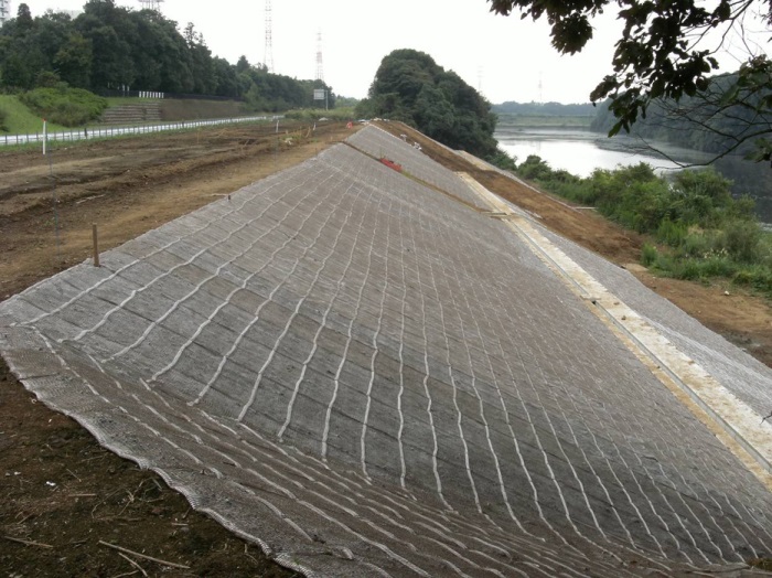 1583380212580038.jpg 2.jpg