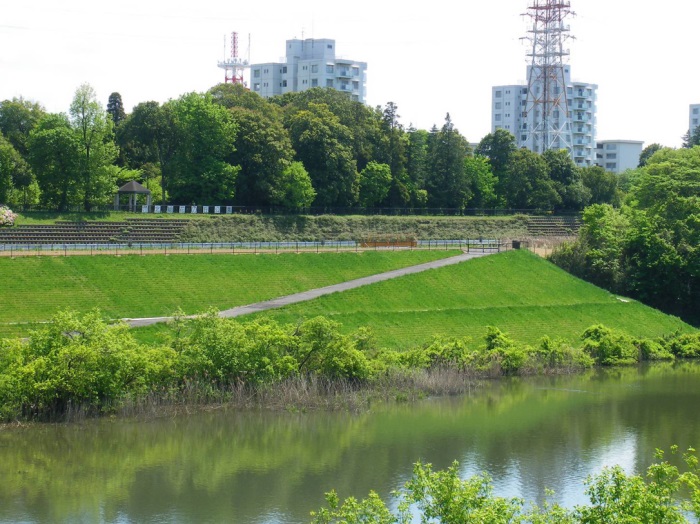 1583380243813354.jpg 3.jpg