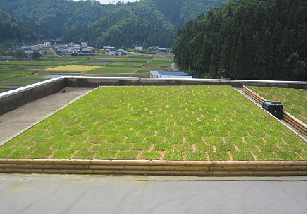 2 后期維護管理效果實例（鋪設完成2周后）_看圖王.png