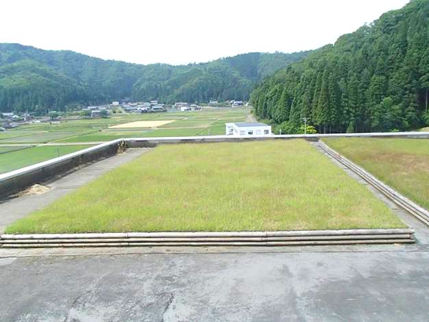 4 后期維護管理效果實例（鋪設完成3年后）_看圖王.png