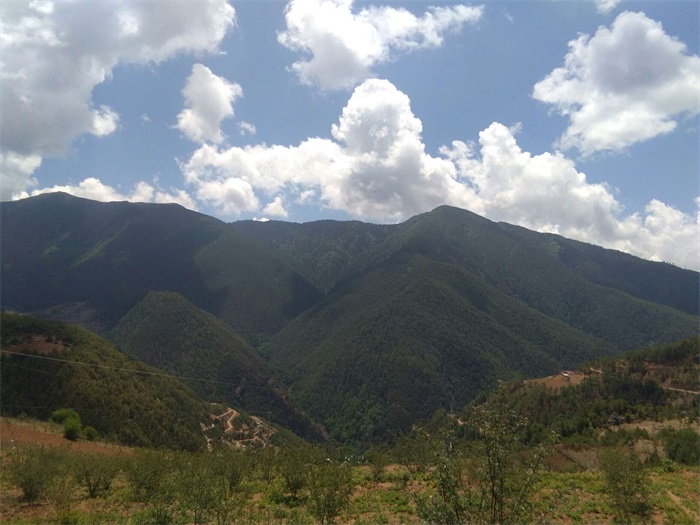 1583394383267790.jpg 1.jpg