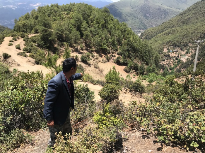 1583394430658532.jpg 8.jpg