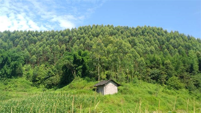 1584092891850215.jpg 大觀牟家22.jpg