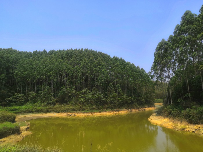 1587019169296035.jpg 2.jpg