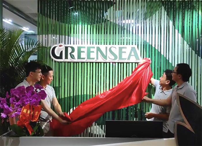 1597935596780011.jpg 3.jpg