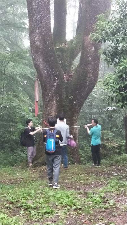 1602228598873765.jpg 圖片33.jpg