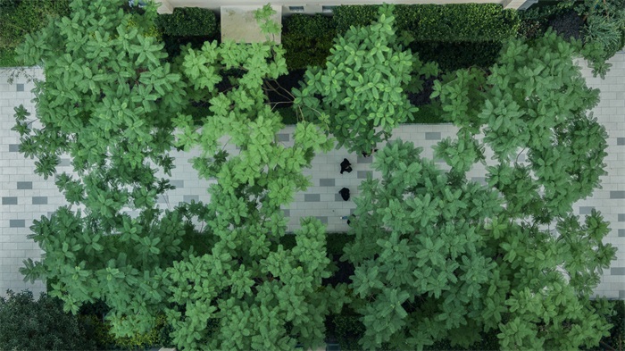 1608082014246981.jpg 3.jpg