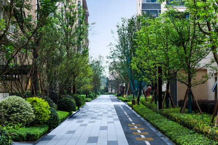 1608082047315886.jpg 11.jpg