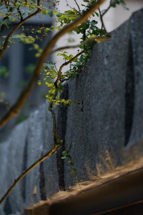 1608082061274053.jpg 15.jpg