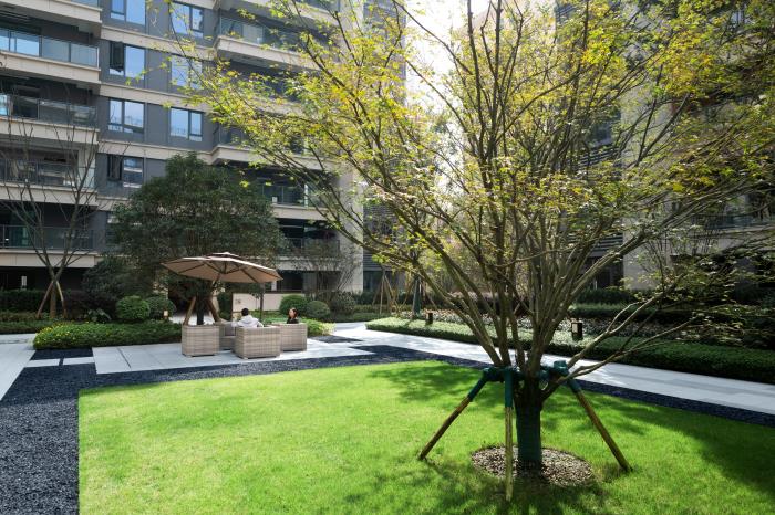 1608082071668633.jpg 18.jpg