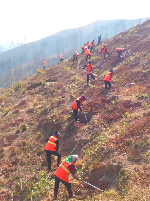 1611109741243006.jpg 10.jpg