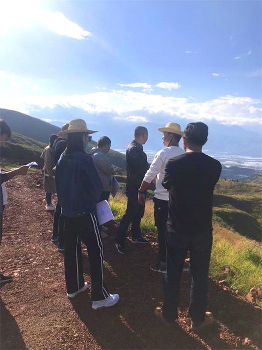 1611109802452453.jpg 8.jpg