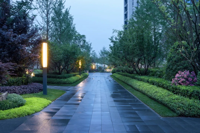 1624878358235215.jpg 14.jpg