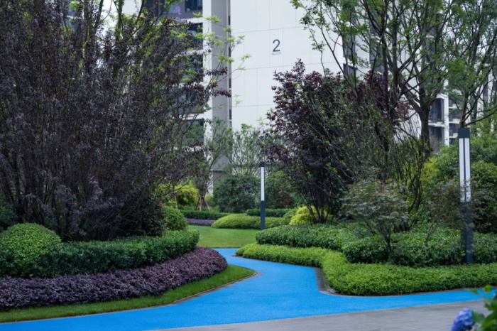 1624878377550033.jpg 17.jpg