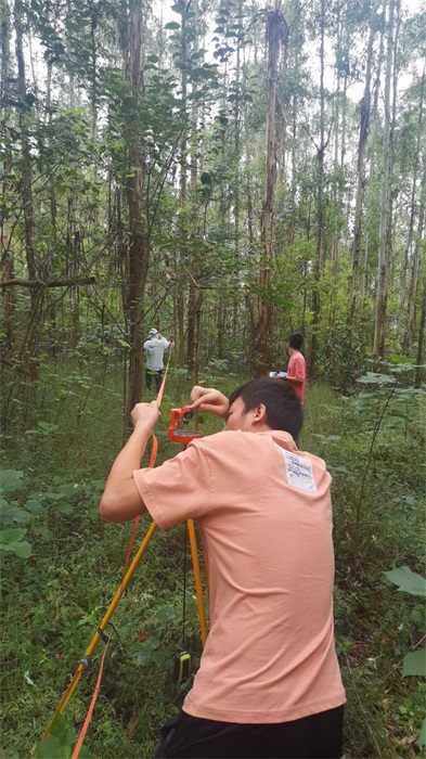 1634607584355822.jpg 3.jpg