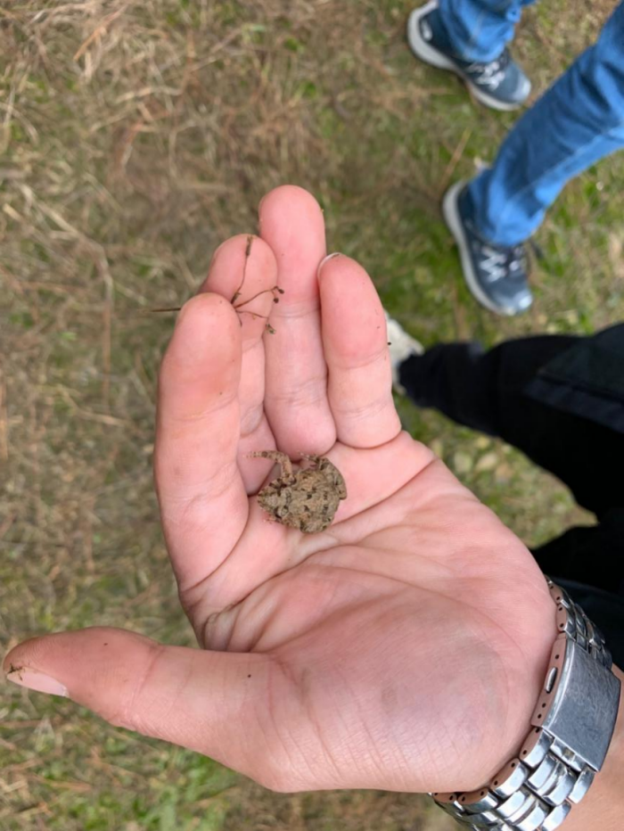 1654141288493963.png 生物多樣性3.png