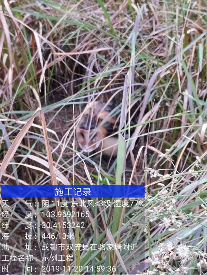 1654141325387364.png 生物多樣性5.png