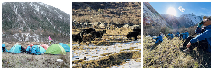 1669976479924176.jpg 3506424712051570838.jpg