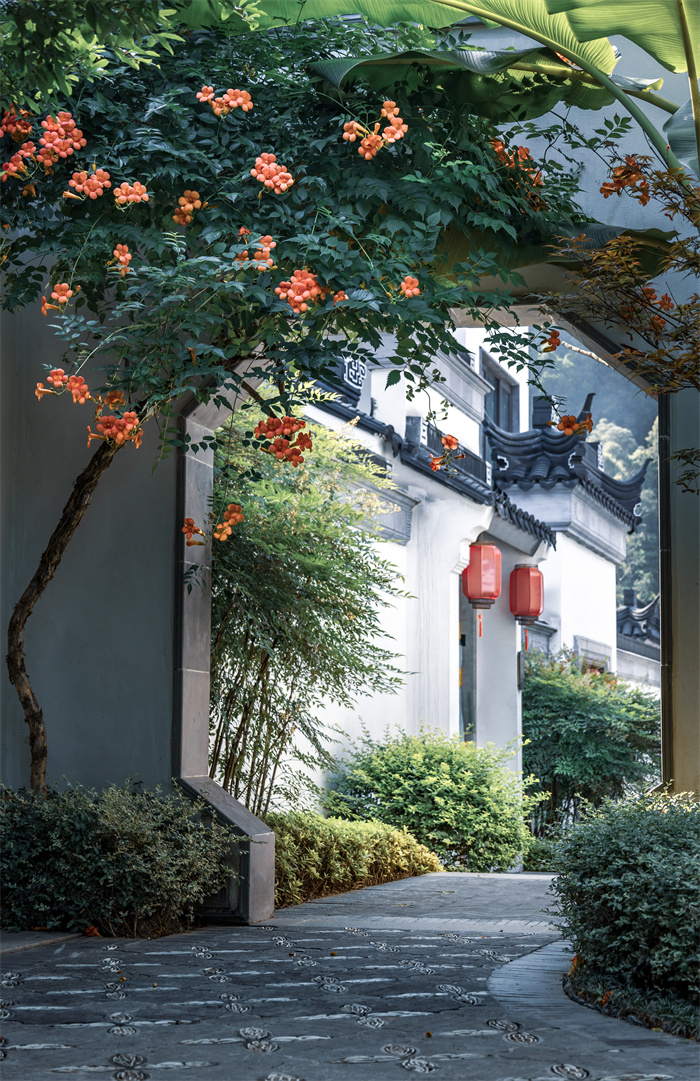 1685724111605567.jpg 微信圖片_20230602235713.jpg